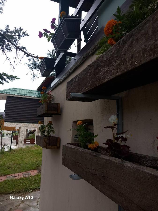 Villa Vikendica Malovic à Žabljak Extérieur photo