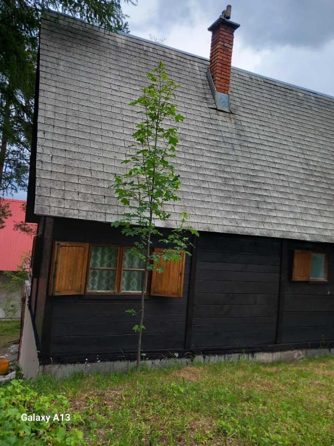 Villa Vikendica Malovic à Žabljak Extérieur photo