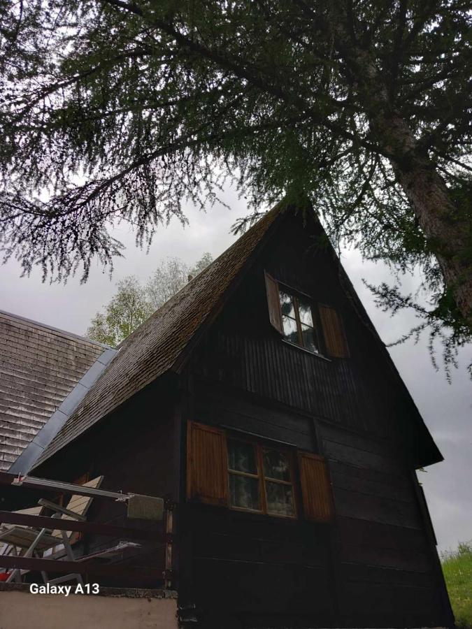 Villa Vikendica Malovic à Žabljak Extérieur photo